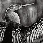 Das berührte Paradies