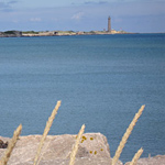 Mittelmaß und Größenwahn