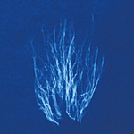 Wenn aus Wasser blau entsteht